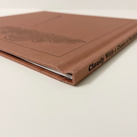 Vtg 1978 Cloudy with A Chance of Meatballs by Judi Barrett - Picture 5 of 16